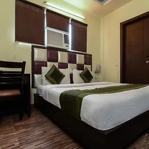 Olive Delhi (National Capital Territory of India)